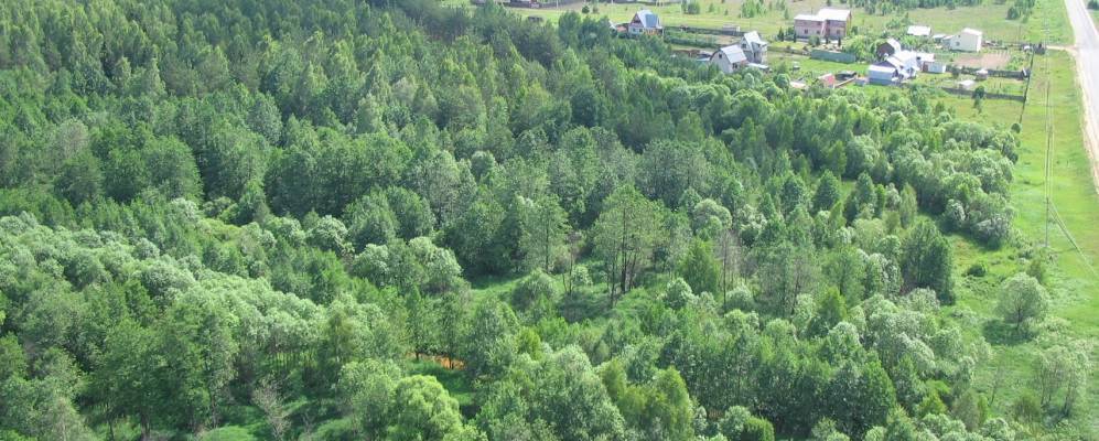 
            Фотография Алексино-Шатура