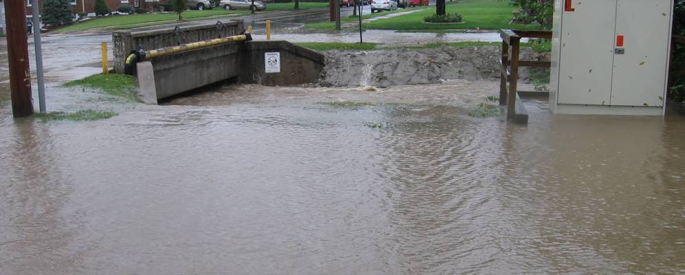 
            Фотография Паджедэйла