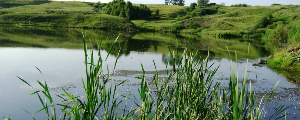 Фотография Грозной Крепости