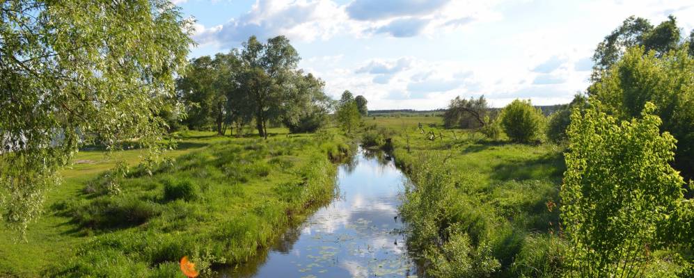 
            Фотография Коблицкого Леса