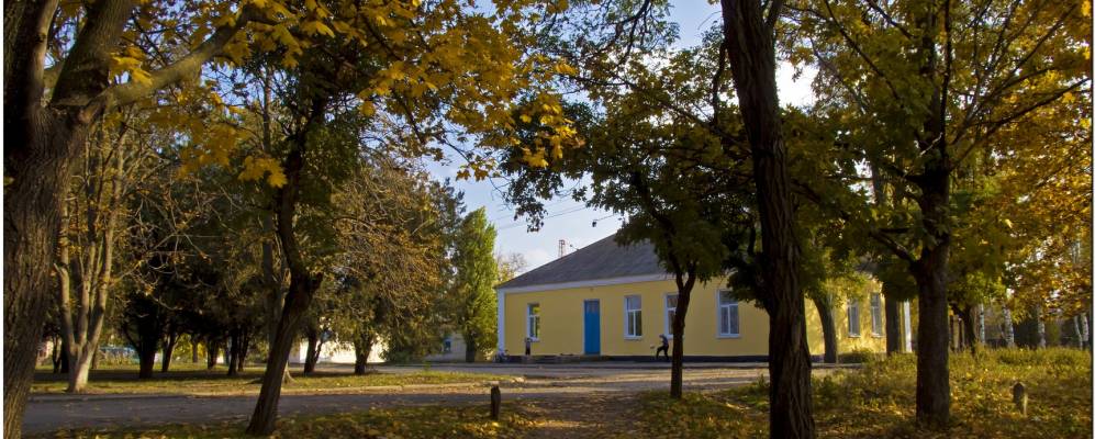 
            Фотография Тока