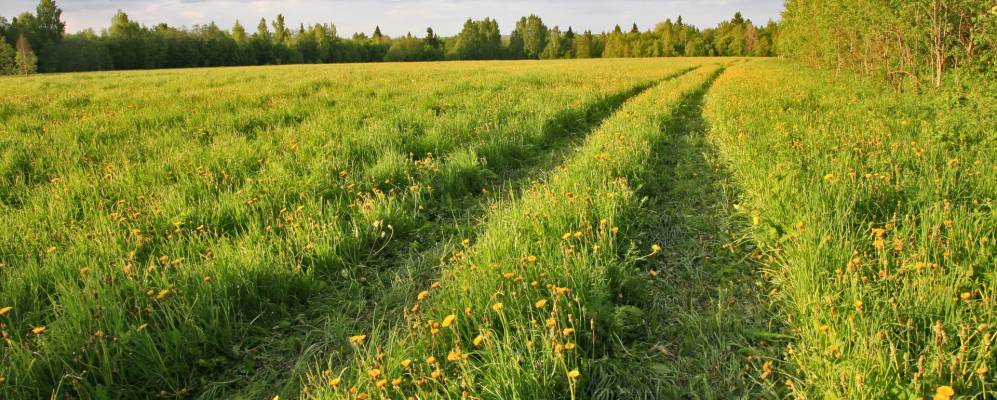 
            Фотография Бавленского