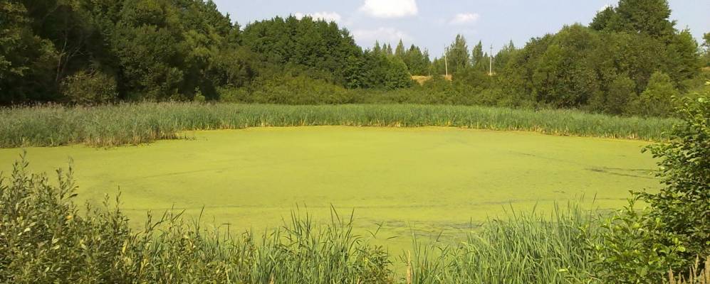 
            Фотография  Коротких