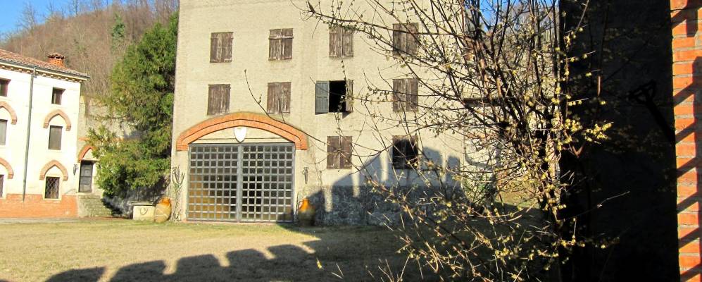 
            Фотография Гранконы