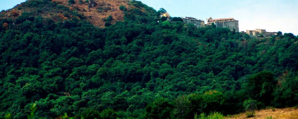 
            Фотография Тольфы