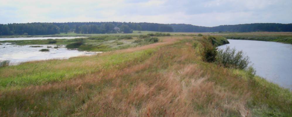 
            Фотография поселка Зимари