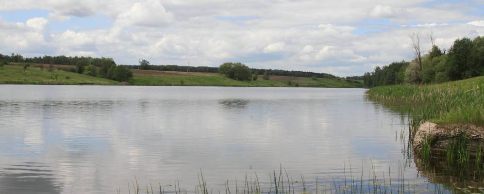 Фотография Больших Прудов