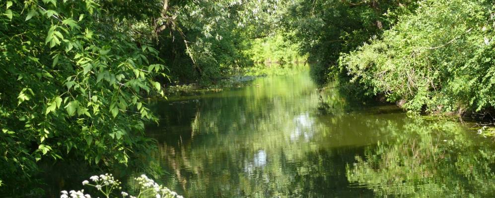 
            Фотография Липовки