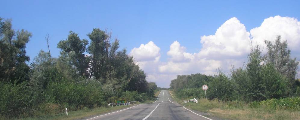 
            Фотография Ягодного