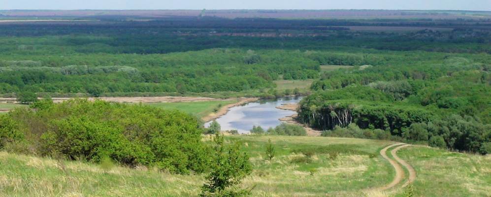 
            Фотография Атамановского