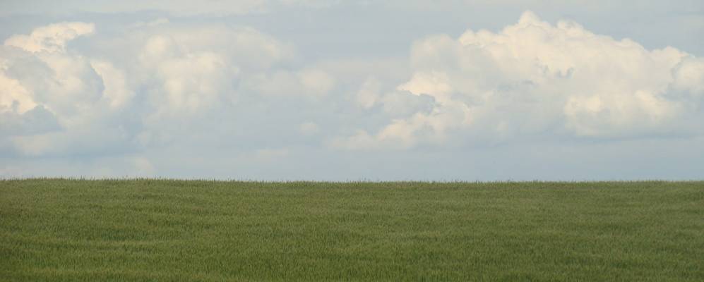 
            Фотография Храбузна