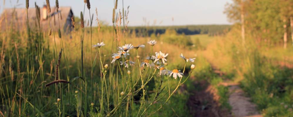
            Фотография Коростылей