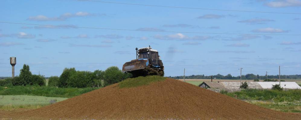 Фотография Михайловских