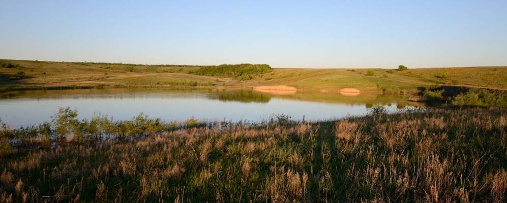 
            Фотография Политовского