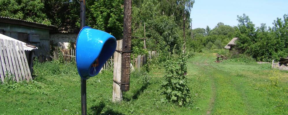 
            Фотография Зубаревки