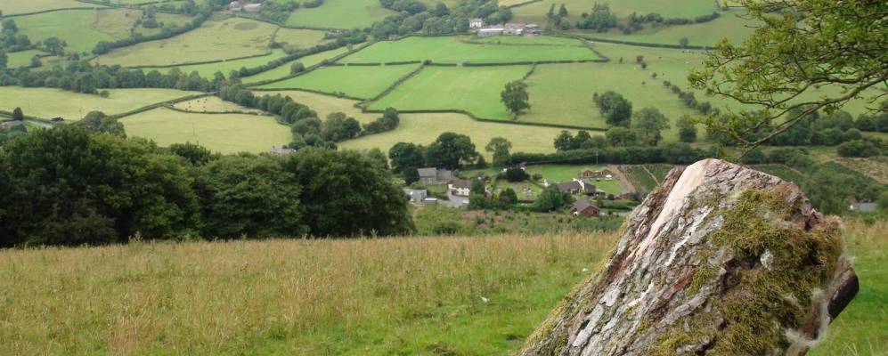 Фотография Фелиндр (Поуис)