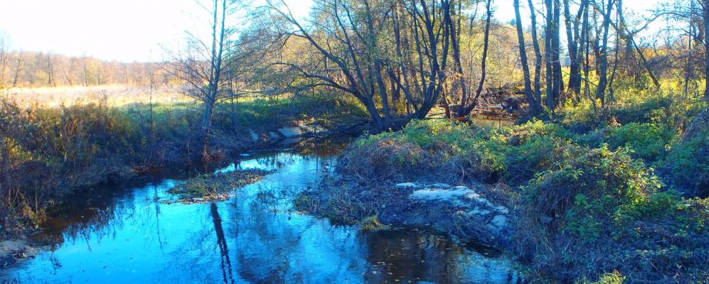 
            Фотография Головлино