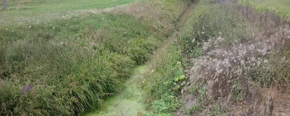 
            Фотография деревни Якшичи