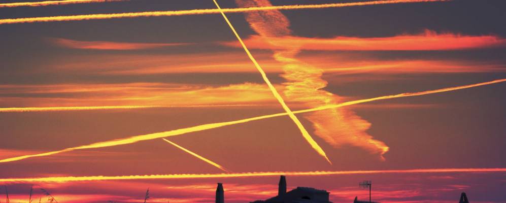 
            Фотография Кала-Морель