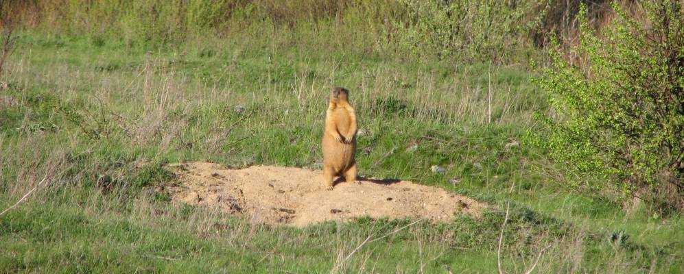 слобода греково миллеровский район. греково степановка школа. греково степановка ростовская область. погода в греково степановке. греково степановка.
