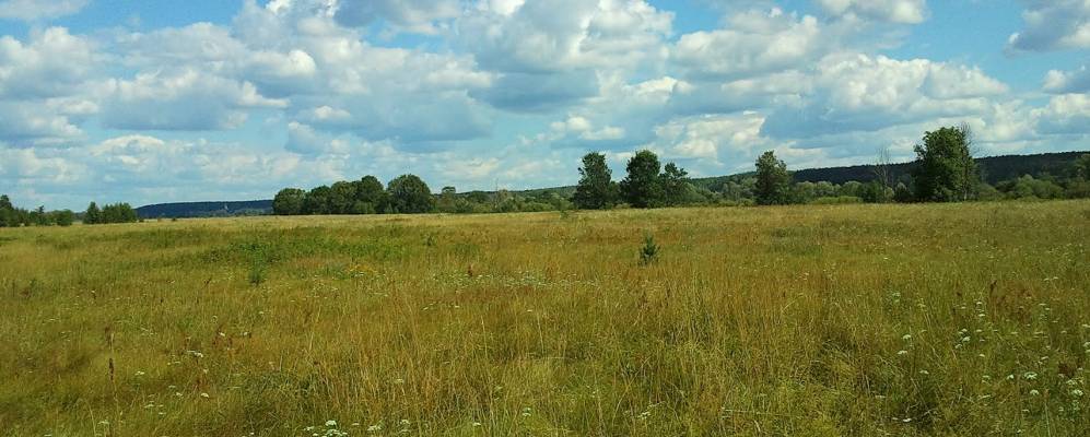 
            Фотография Сычёво