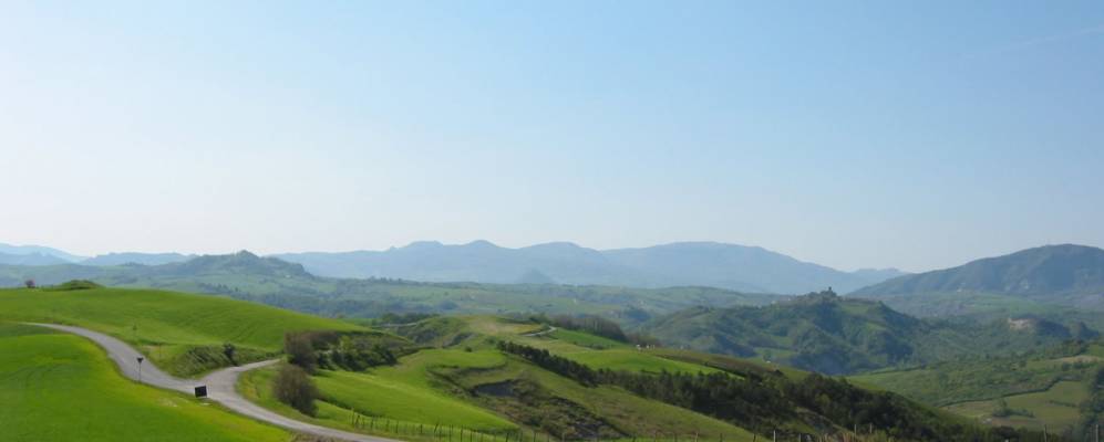 
            Фотография Борелло