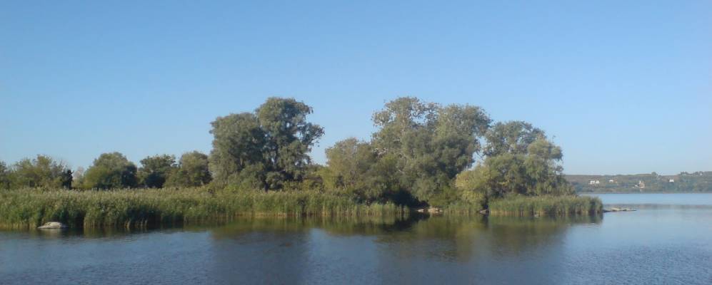 Фотография Запорожца