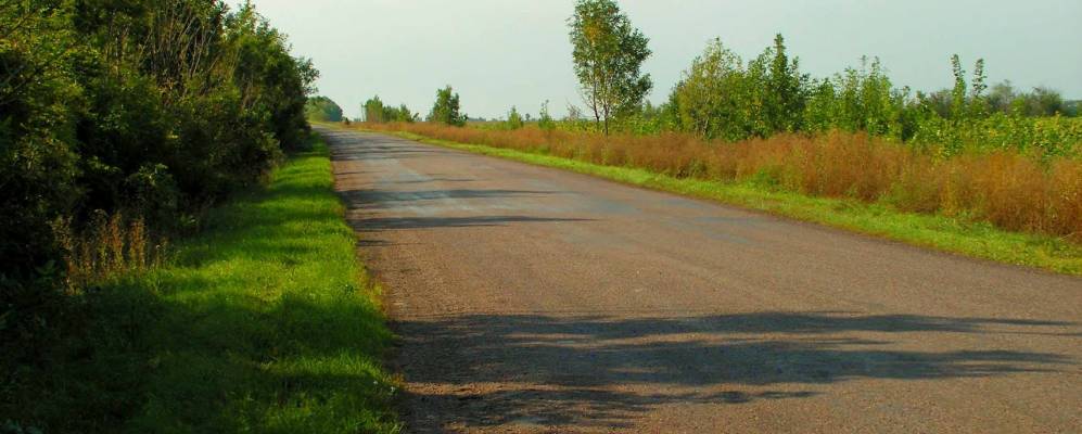 
            Фотография Солонцова