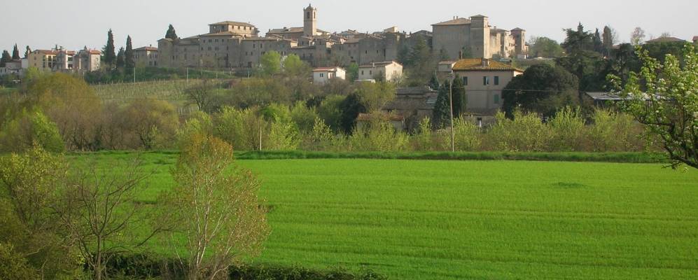 
            Фотография Фратта Тодины