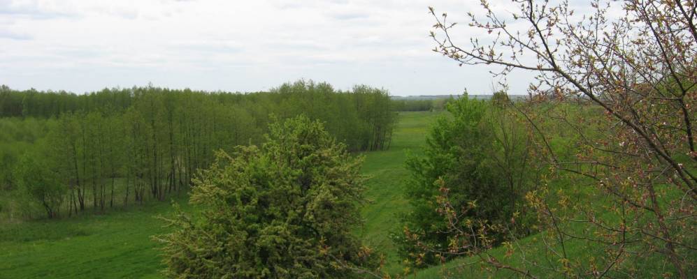 
            Фотография Буберево