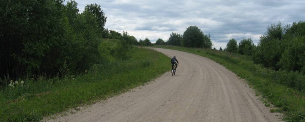 
            Фотография Хвощеватика