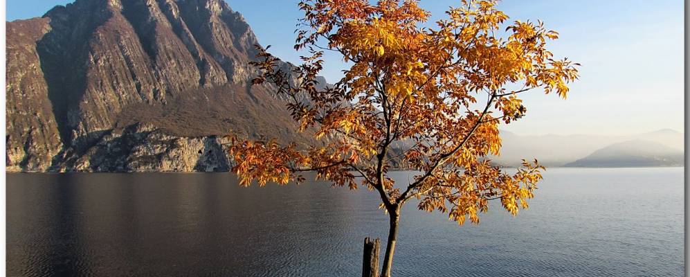 
            Фотография Сольто-Коллины