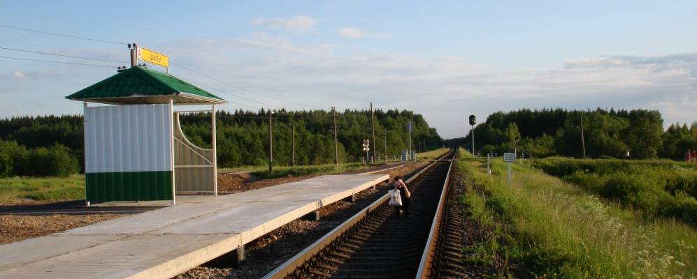 
            Фотография Обруба