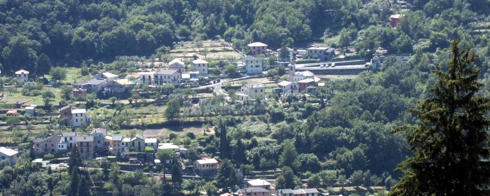 
            Фотография Ушо