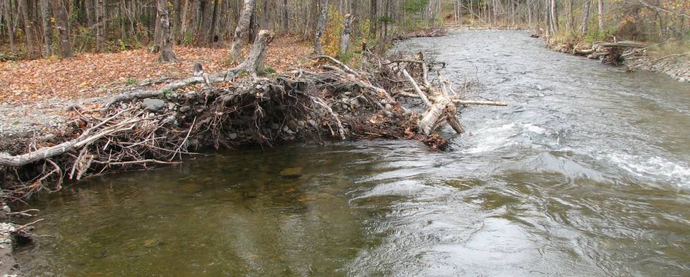 Фотография Бристоль