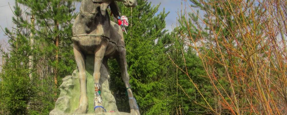 
            Фотография Буслаево