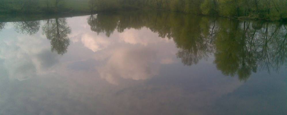 
            Фотография Кошляки