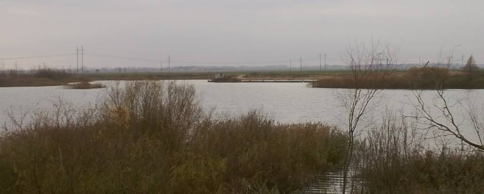 
            Фотография Заболоти