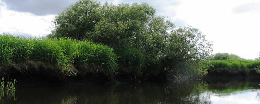 
            Фотография Березовки