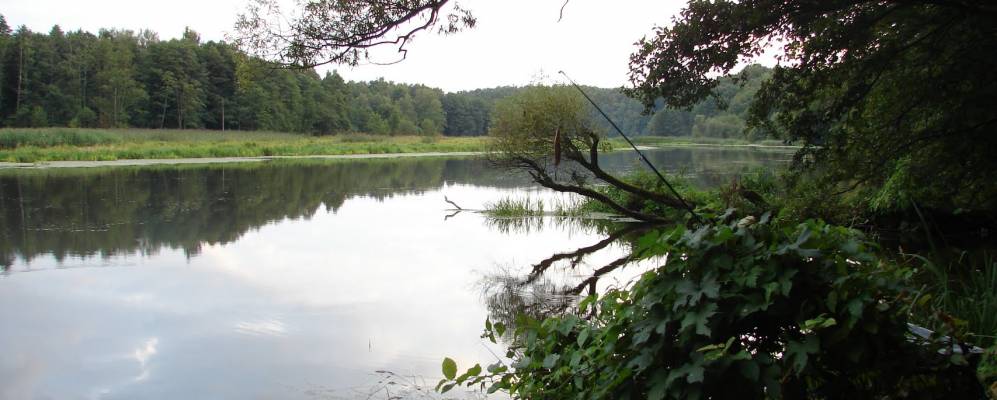 
            Фотография Бычково