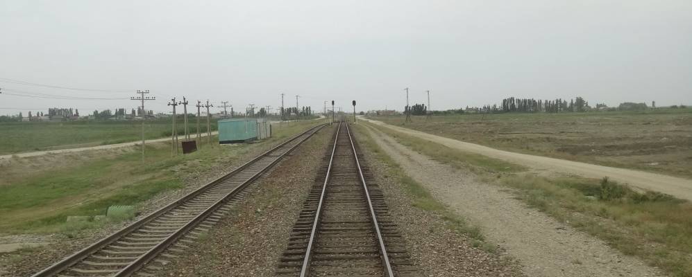 
            Фотография Куруша