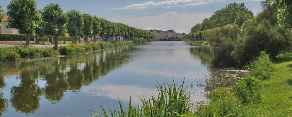 
            Фотография Сожона