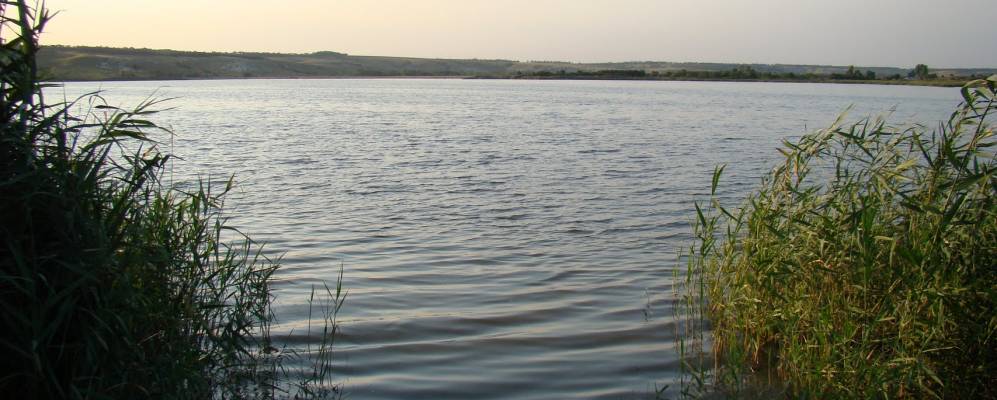 
            Фотография Донцовки