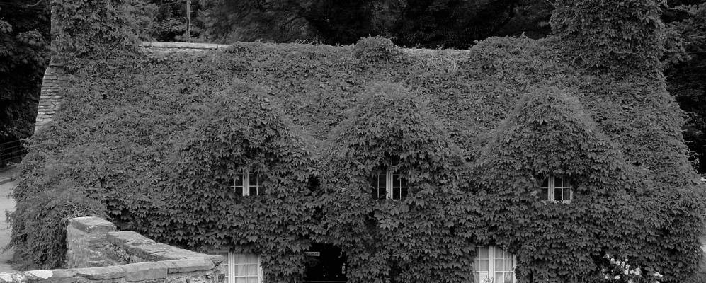 
            Фотография Лланруста