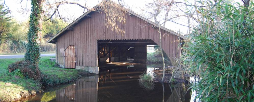 
            Фотография Оданжа