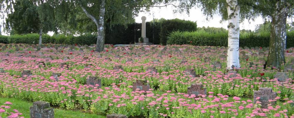 Фотография Бройны