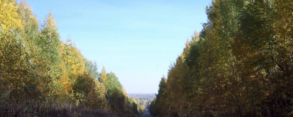 
            Фотография Тюся