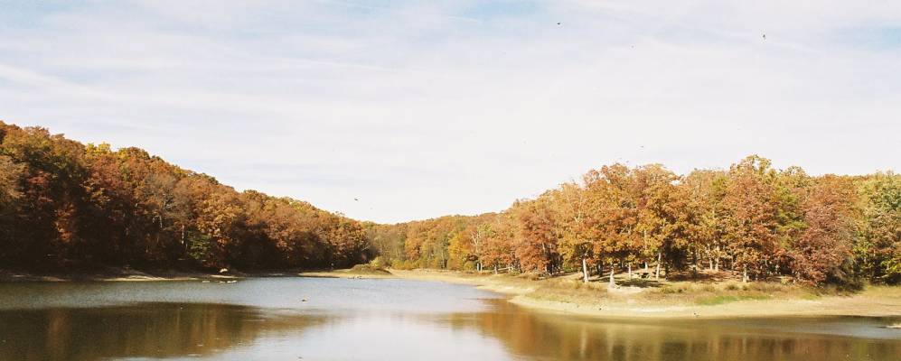 
            Фотография Энривилла