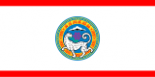 Флаг Алматы
