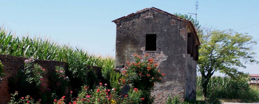 
            Фотография Минербе